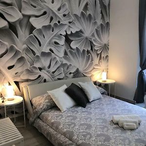 Superior Kamer met een King Size Bed